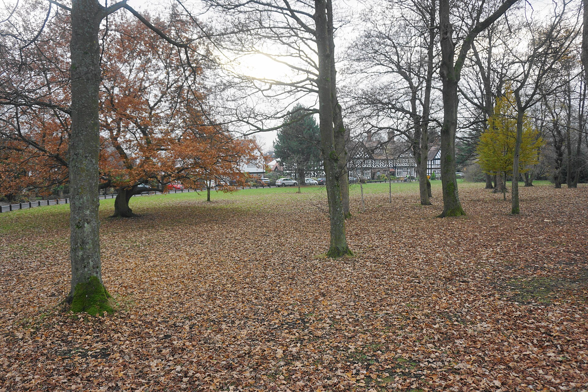 The Green, Worsley